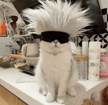 a cat wearing sunglasses and a wig sits on a kitchen counter