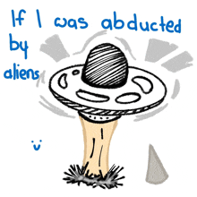 a drawing of a mushroom with the words " if i was abducted by aliens " below it