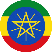 the flag of ethiopia has a yellow star in the center