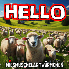 a bunch of sheep are standing in a field with the words hello miesmuschelartwurmchen on the bottom