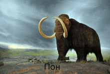 a mammoth is standing on a rock with a cloudy sky behind it and the word " pon " written below it