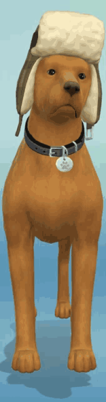 a brown dog wearing a furry hat and collar with a tag that says ' a ' on it