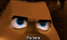 a close up of a cartoon character 's face with blue eyes and the words pa tera written below it .