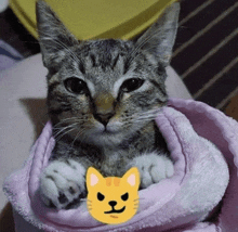 a cat is wrapped in a pink blanket and has a yellow cat face on it