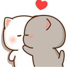 a couple of cartoon cats kissing each other with a red heart in the background .