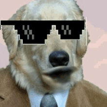 a dog wearing a suit and tie is wearing a pair of pixelated sunglasses