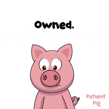 a cartoon pig is holding a microphone and says " owned " above it