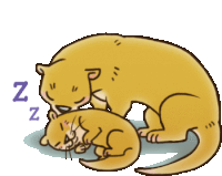 a cartoon of two otters sleeping next to each other with the letters nz visible