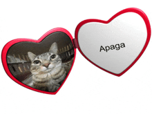 a heart shaped picture frame with a picture of a cat and the name apaga on it