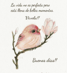 a bird is perched on a branch with a quote in spanish .