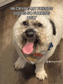 a dog with its tongue out and a caption that says ' im crying my friends dog is so fucking ugly '