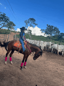 a woman riding a brown horse in a fenced in area