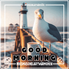 a seagull stands on a pier next to a cup of coffee with the words good morning written below it