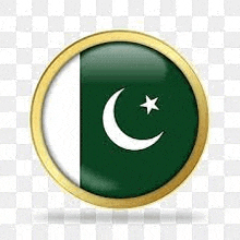 the flag of pakistan is in a gold circle with a crescent moon and star .