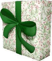 a gift box with a green ribbon tied around it