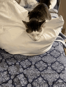 a cat laying on top of a white pillow with its eyes closed