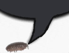 a drawing of a speech bubble with a bug in it