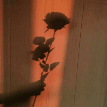 a shadow of a rose on a wooden wall