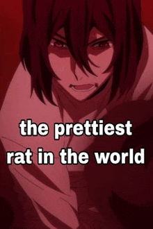 the prettiest rat in the world is a picture of a person with long hair .