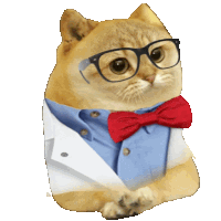 a cat with glasses and a bow tie