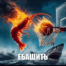 a picture of a basketball being dunked by a flaming shrimp with a shark in the background ..