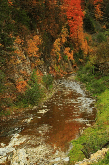 a river surrounded by trees with autumn leaves