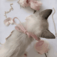 a cat wearing a pink ribbon around its neck is laying on a bed next to flowers .