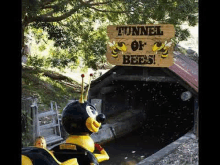 a bee mascot is riding a roller coaster in a tunnel of bees .