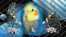 a picture of a bird in a blue bubble with flowers around it