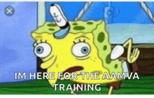 a cartoon of spongebob that says im here for the aamva training