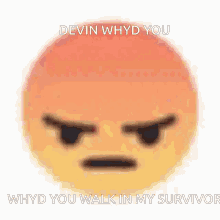 a smiley face with an angry face and the words devin whyd you whyd you walk in my survivor