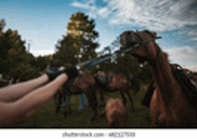 a person 's hand is reaching out towards a horse in a field .