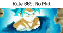 a picture of a person with blue hair and the words rule 669 no mid