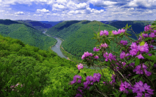 a river runs through a valley surrounded by trees and flowers