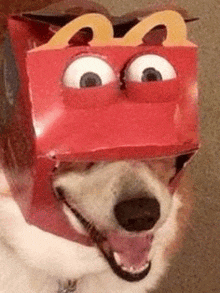 a dog is wearing a mcdonald 's happy meal box on its head