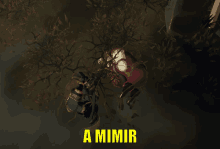 a screenshot of a video game with the words a mimir on the bottom right