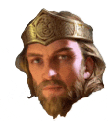 a man with a beard is wearing a crown on his head .