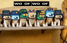 a group of puppies are sitting on a wooden bench under a sign that reads wo of wo of