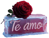 a block of ice with the words te amo written on it