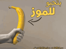 a hand is holding a banana in front of a sign that says alshami farah