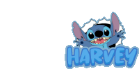 a picture of stitch with the name harvey on the bottom