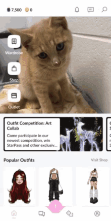 a screenshot of an outfit competition app with a cat