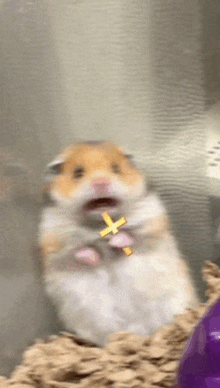 a close up of a hamster holding a cross