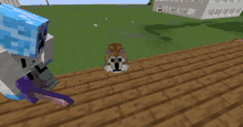 a minecraft screenshot of a cat standing on a wooden deck