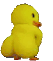 a yellow stuffed duck with red feet is sitting on a white background .