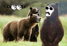 three bears are standing in a grassy field with a dollar sign behind them