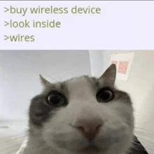 a cat is looking at the camera with the words buy wireless device look inside wires above it