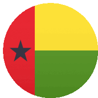 a circle with a red yellow and green flag with a black star in the middle