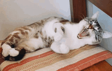 a cat with its mouth open is laying on its back on a striped pillow