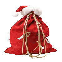 a red santa bag with a white santa hat and gold strings